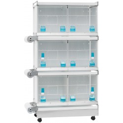 Zenzero ART.104 ART104 Italgabbie 104,21 €